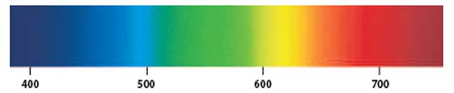 The visible spectrum covers the wavelengths from approximately 360 to 800 nm.
