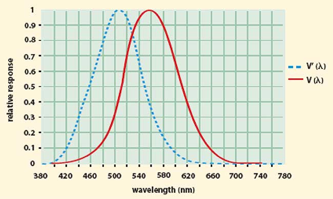 he response of two types of vision can be described by photopic (solid red) and scotopic (dotted blue) response curves. 