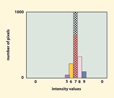 Area histograms can be used to evaluate average area uniformity.