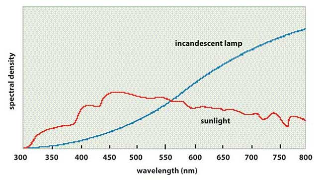 The spectrum of sunlight peaks at about 450 nm, while that of an incandescent lamp peaks at more than 800 nm.