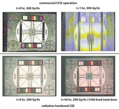 Radiation Tolerances: Effects on CID Imaging Devices