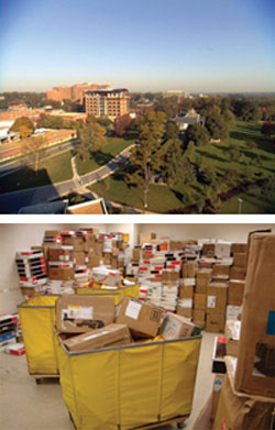 WHO Reviews The Review?