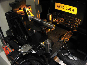 Orange Laser Sources for Life Sciences Research