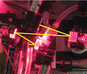 Multiphoton Microscopy: Ready for Prime Time?