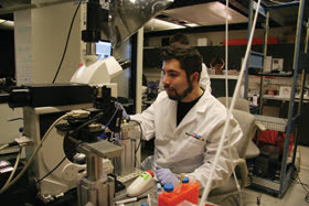 Optogenetics: A Conversation with Ed Boyden