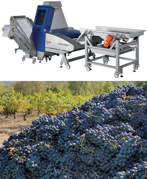 The French Connection: Optics in France and the US