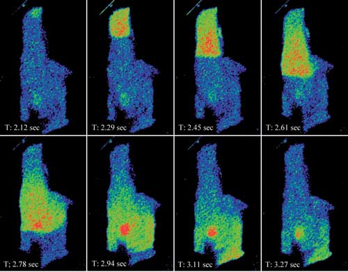 Pushing the boundaries in live-cell light microscopy