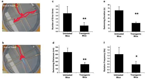 Optogenetics May Stop Multiple Disorders in Their Tracks