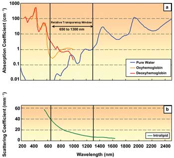 Taking Multiphoton Imaging to New Depths