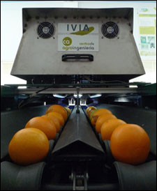 Using Artificial Vision to Compare Oranges to Oranges