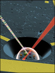 Accurate Reading Taken from Mini-Quantum Computer