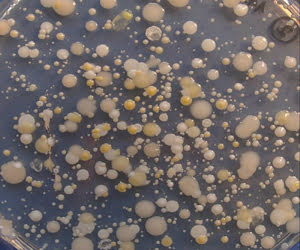 Protecting Food Resources through FTIR Spectroscopy