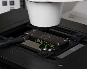 Fluorescence Illumination: New Metrics for Reproducibility and Quantitation