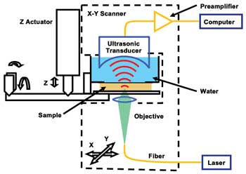 Photoacoustic Microscopy Unlocks Secrets of Optical Absorption