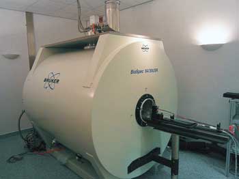 Fiber Optics Revolutionizes Neuroscience