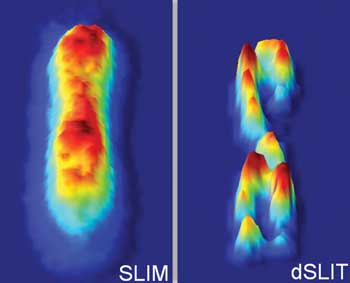Optical Microscopy Quantifies Live Cells Without Labels