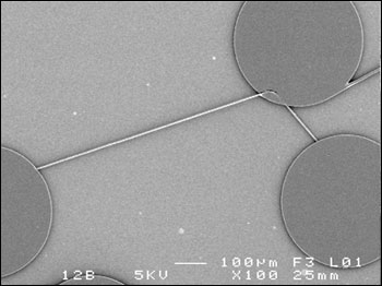 A pristine silk fiber integrated into a photonic chip.