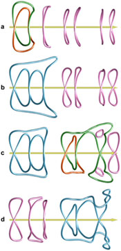 An initially deformed vortex-free soliton develops vortex lines during propagation in a self-focusing saturable medium. (yellow arrow is the optical z-axis). Here we distinguish isolated vortex rings (unknots) in pink, linked vortex rings (Hopf links) in green and orange, and vortex (trefoil) knots in blue. 