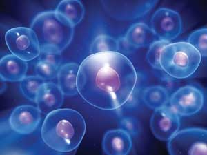 Choose the Right Light Source