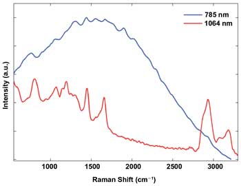 Opportunities Abound in Biological Spectroscopy