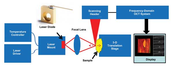 Fourier Domain OCT Guides QCL Thermal Therapy