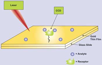 SPR Provides a Boost to Drug Discovery and Development