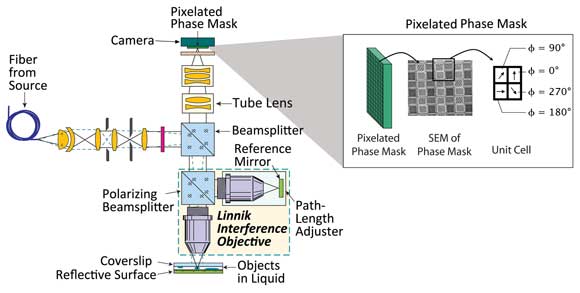 Dynamic Phase-Shifting Microscopy Tracks Living Cells