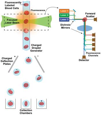 Lasers Match Performance to Application