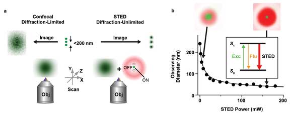 CW DPSS Lasers Make STED Microscopy More Practical