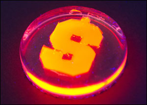Nanorods created with firefly enzymes glow orange. The custom, quantum nanorods are created in the laboratory of Mathew Maye, assistant professor of chemistry at Syracuse University.