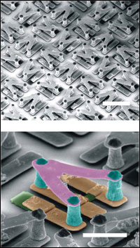 The top shows a scanning electron microscopy image of optically switchable chiral THz metamolecules. The bottom shows the purple, blue and tan colors representing the gold meta-atom structures at different layers; two silicon pads are shown in green.