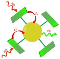 Diagram of the nanocrystal with infrared-absorbing antennas. NIR = near infrared, ET = energy transfer, VIS = emission of visible light.