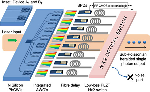 A single laser is coupled to a monolithic silicon chip to pump an ultracompact array of silicon PhCWs. Photon pairs are generated in the PhCW region, wavelength-separated by integrated arrayed-waveguide gratings (AWGs) and the heralding photons detected using single-photon detectors. 