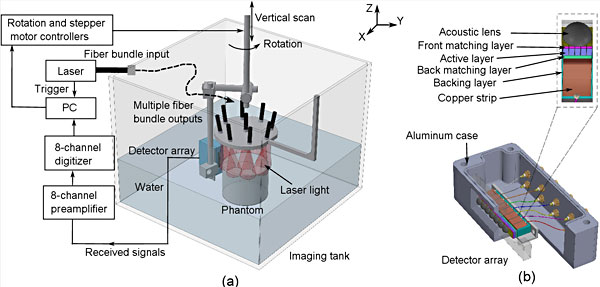 A schematic illustration of the imaging system and the ultrasound detector. 