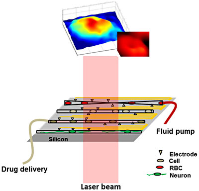 Schematic of the lab-on-a-chip system for the study of mechanical, chemical and electric perturbation of various types of cells on silicon-based microfluidic and multielectrode array platform. 