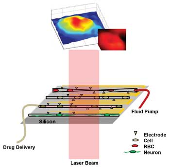 lab-on-a-chip system
