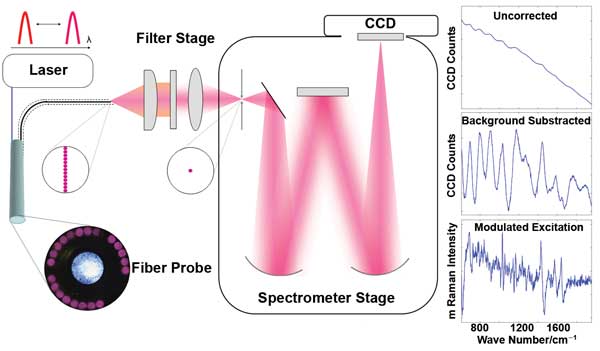 prototype wavelength-modulated Raman spectroscopy system