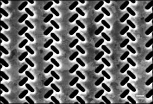 An electron micrograph shows the nanoscale perforations at the surface of the plasmonic coupler. 