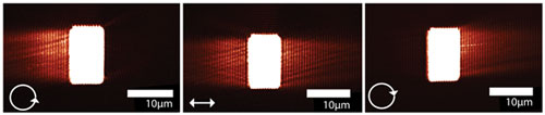 These images, taken with a near-field scanning optical microscope, show plasmonic waves propagating across the surface of the coupler.