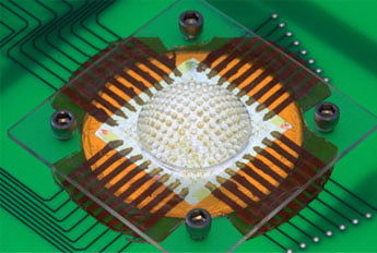 The digital camera exploits large arrays of tiny focusing lenses and miniaturized detectors in hemispherical layouts, just like eyes found in arthropods. 
