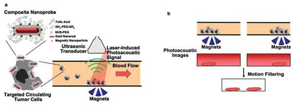 Magnetomotive Photoacoustic Imaging Spots Circulating Tumor Cells