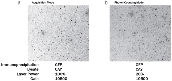 Applications Expand for Photon Counting