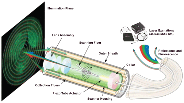 scanning fluorescence endoscope