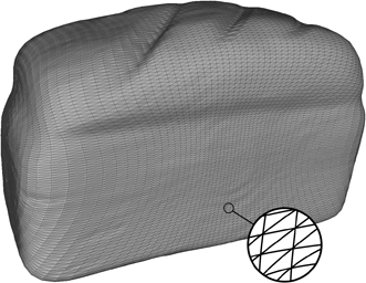 A laser topography image of a typical bread loaf.