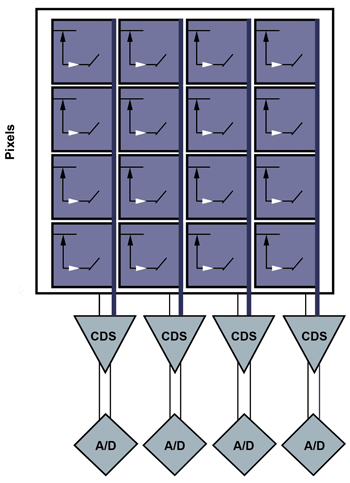 sCMOS Sensor