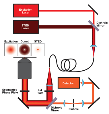 STED system