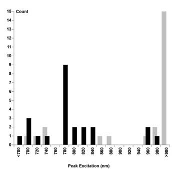 Simplified Approach Makes Two-Photon Multicolor Imaging Less Costly