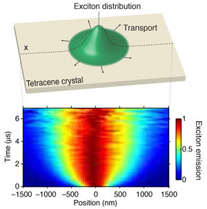 Exciton Movement Observed Directly
