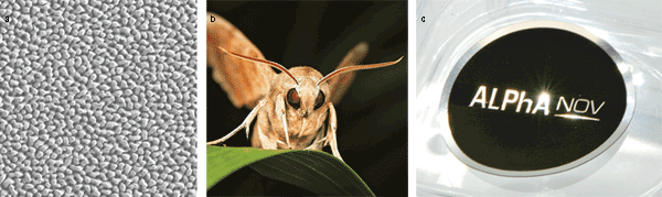 Lasers Produce Bio-Inspired Surface Functions