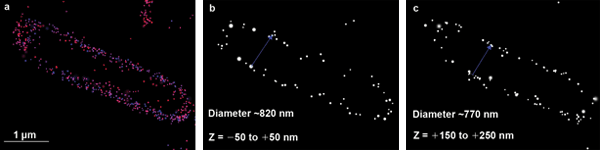 Superresolution Imaging Adds Another Dimension